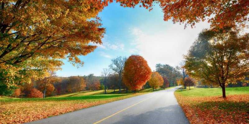 FALL VS SPRING: WHICH INTAKE SEASON TO CHOOSE
