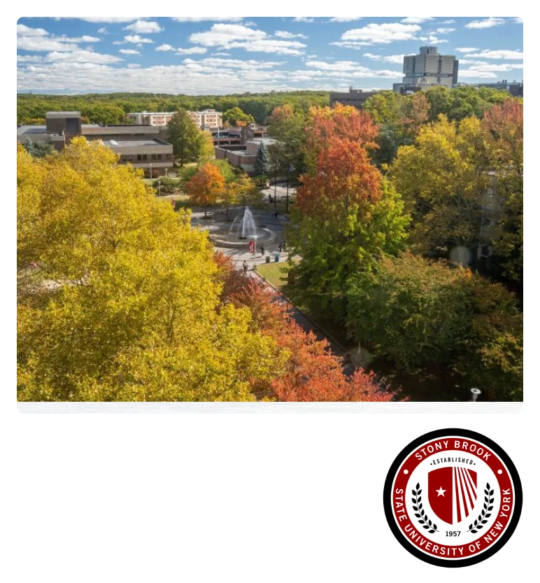 university-7