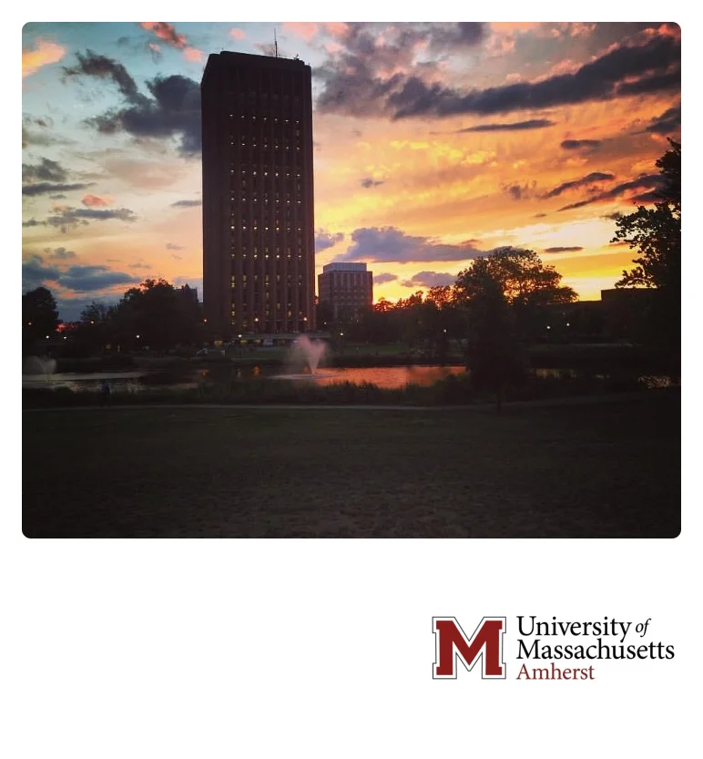 university-8